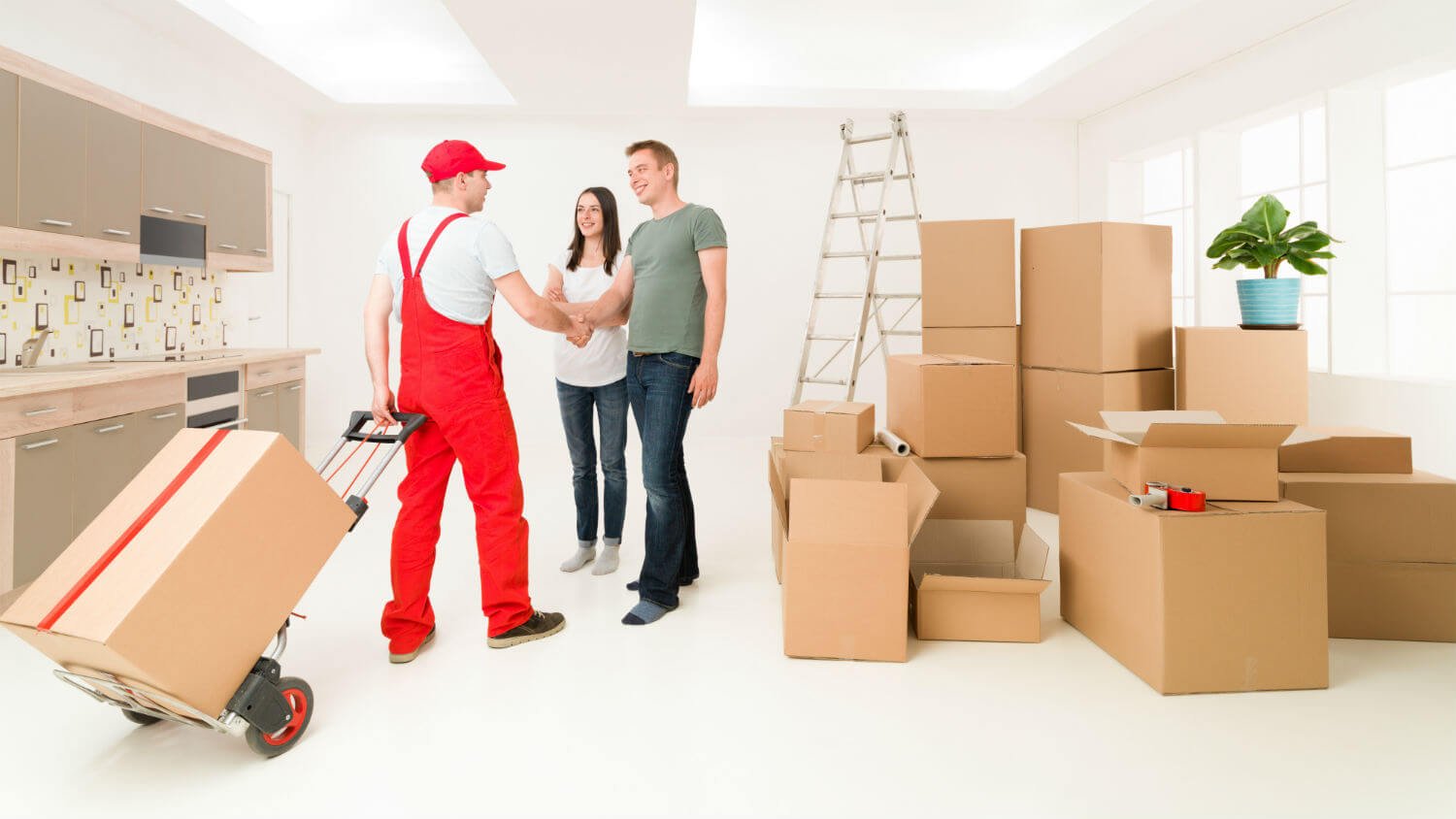 Packers and Movers
